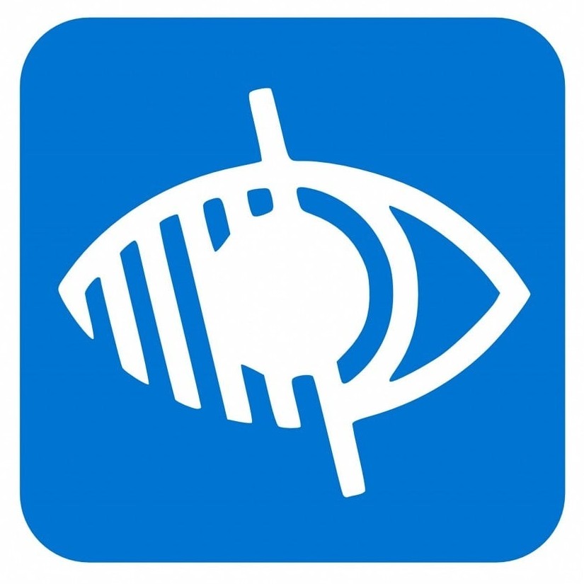 Image logo handicap visuel