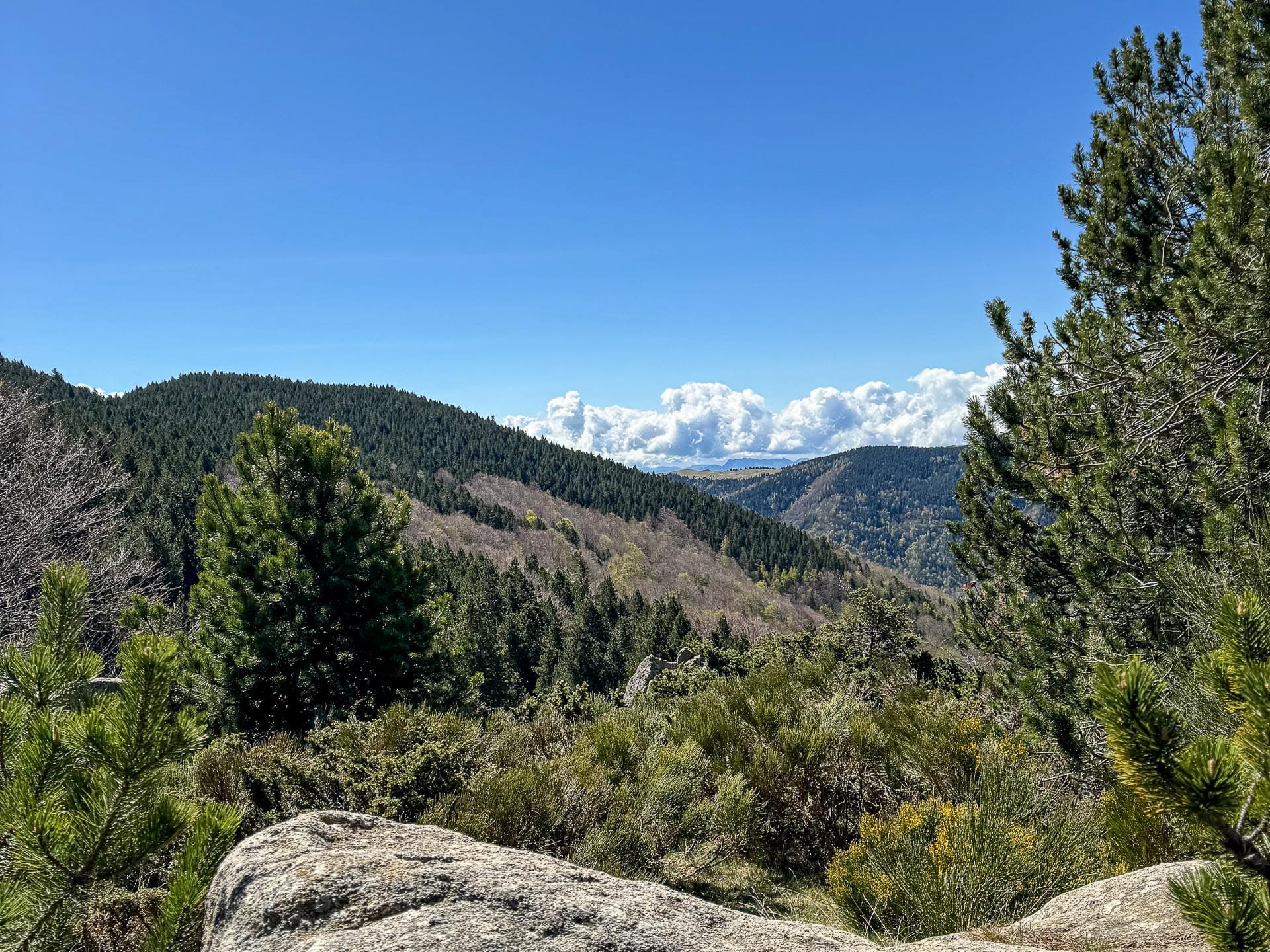 R�serve Naturelle de Prats-de-Mollo-La-Preste