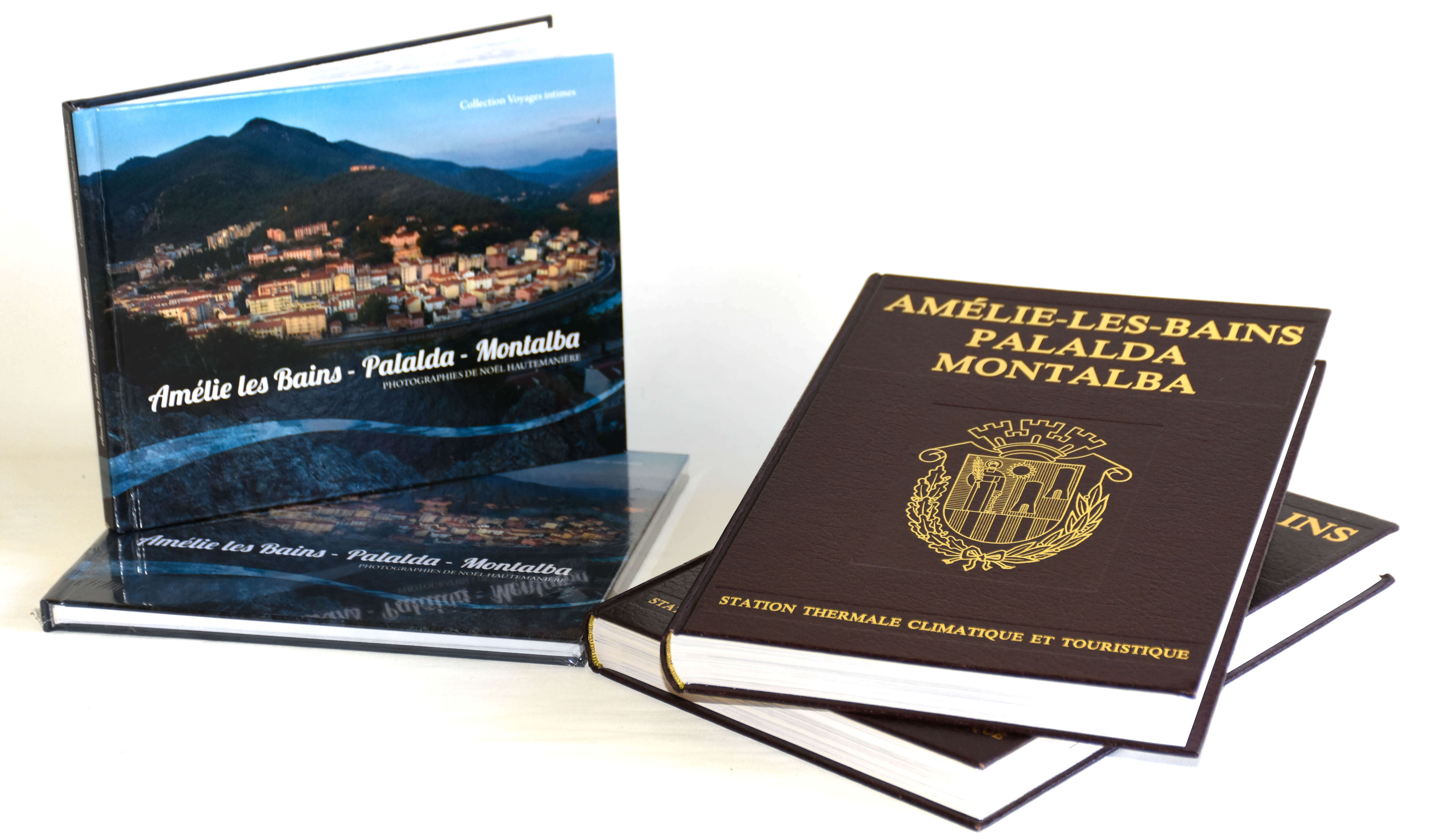 Livres d'Amlie-les-Bains Palalda